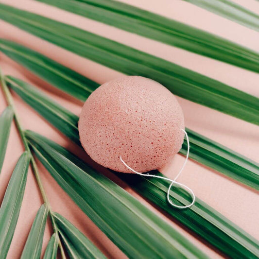 Acala Konjac Sponge with French Pink Clay