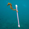 Naturally Evergreen Bamboo Cotton Buds