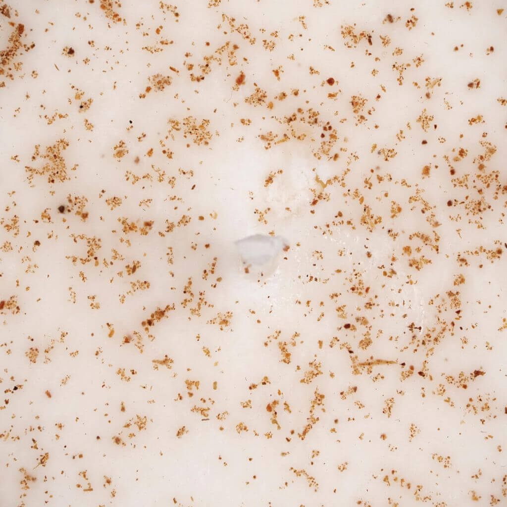 Upcircle Chai Latte Natural Soy Candle. image showing candle wick and chai spices in soy candle. Vegan. repurposed chais spices from chai syrup.