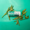 Scence Mellow Sage Body Balm