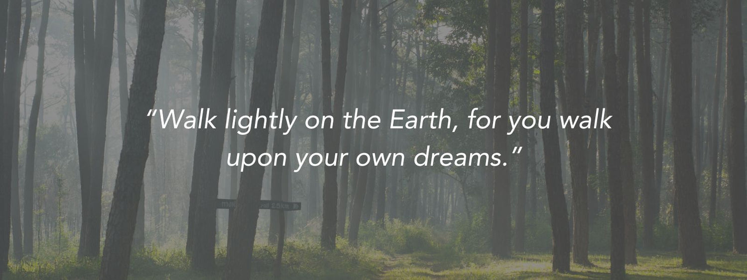 BotaniVie About Us. Walk lightly on the Earth, for you walk upon your own dreams. quote in the forest or wood. 