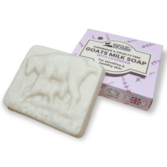 Goats of the Gorge Goats Milk Soap Bar with Lavender. Handmade in Somerset UK. on white background with cardboard box for packaging. biodegradable cardboard.