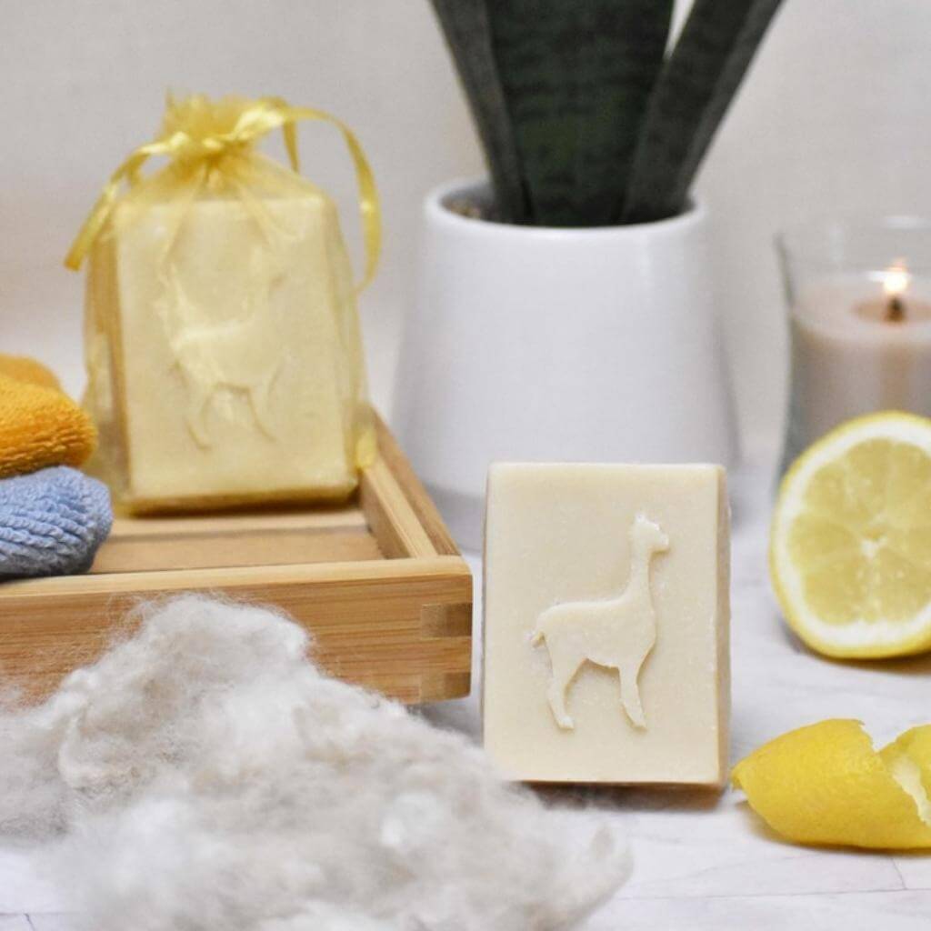 Goats of the Gorge. Alpaca Soap. Available in two varieties: Unscented and Lemon. Lifestyle Image with Lemon and Alpaca Fleece.